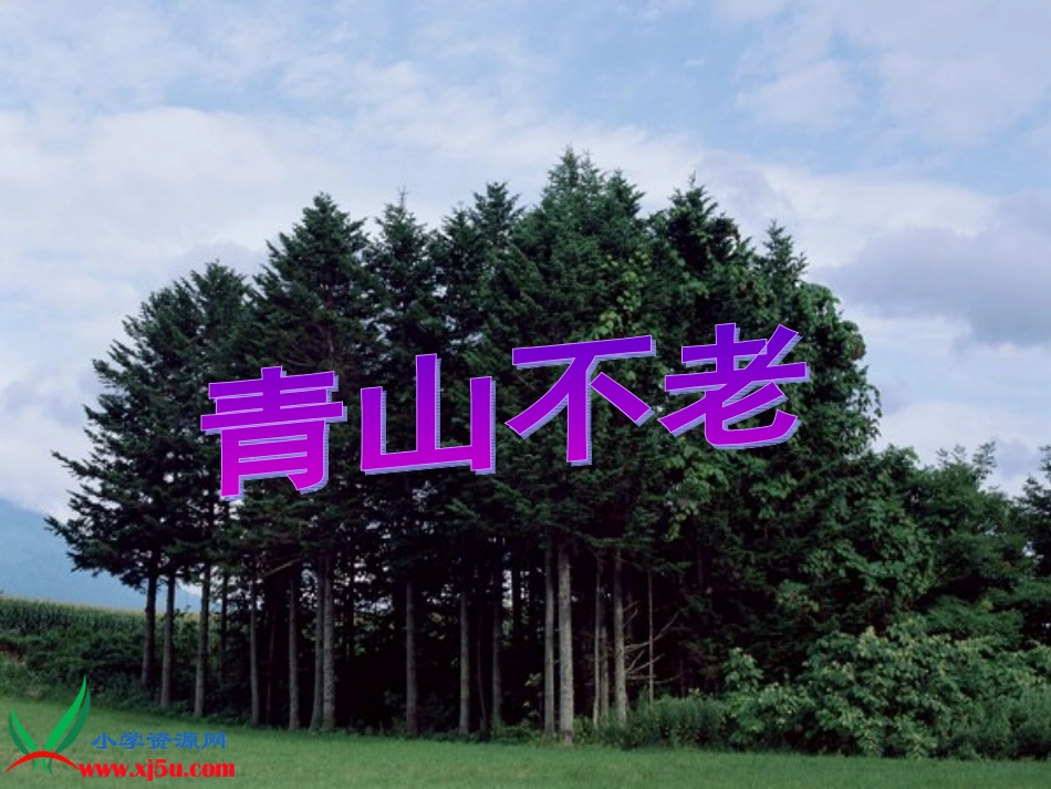 《青山不老》PPT课件_第1页