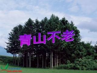 《青山不老》PPT课件
