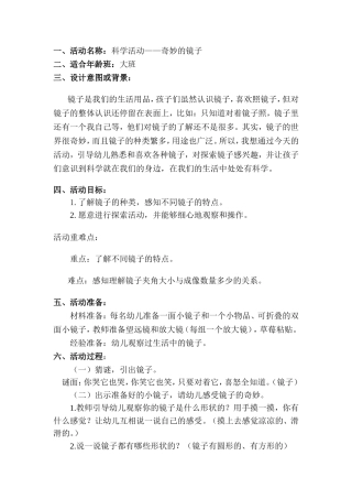 大班科学探究活动：奇妙的镜子