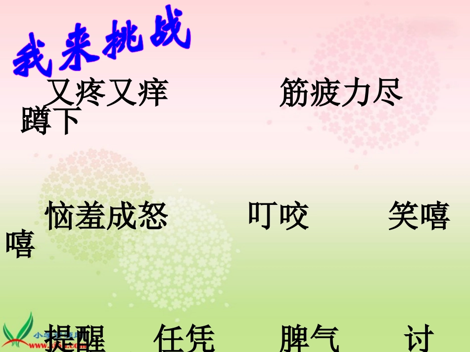 狮子和兔子课件_第2页