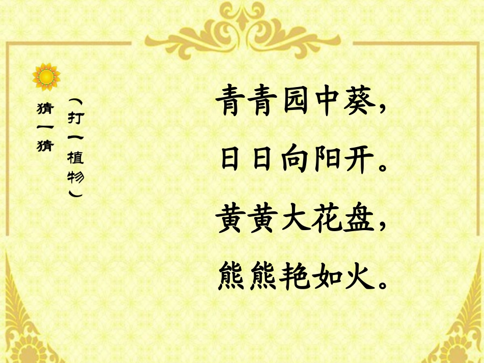 第15课向日葵_第3页