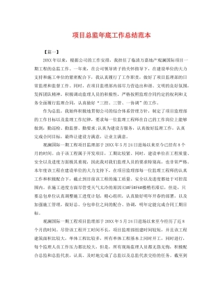 项目总监年底工作总结范本 