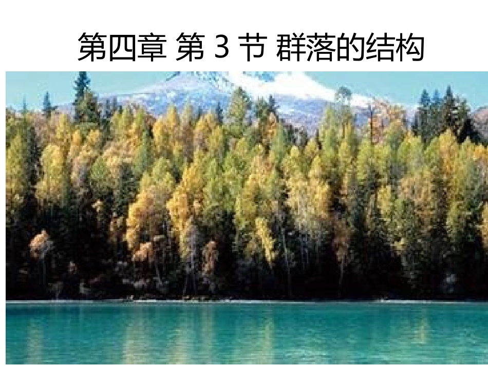 第3节群落的结构_第1页