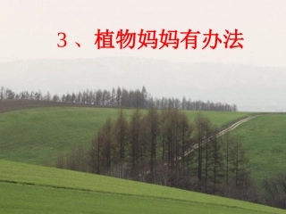 植物妈妈有办法()