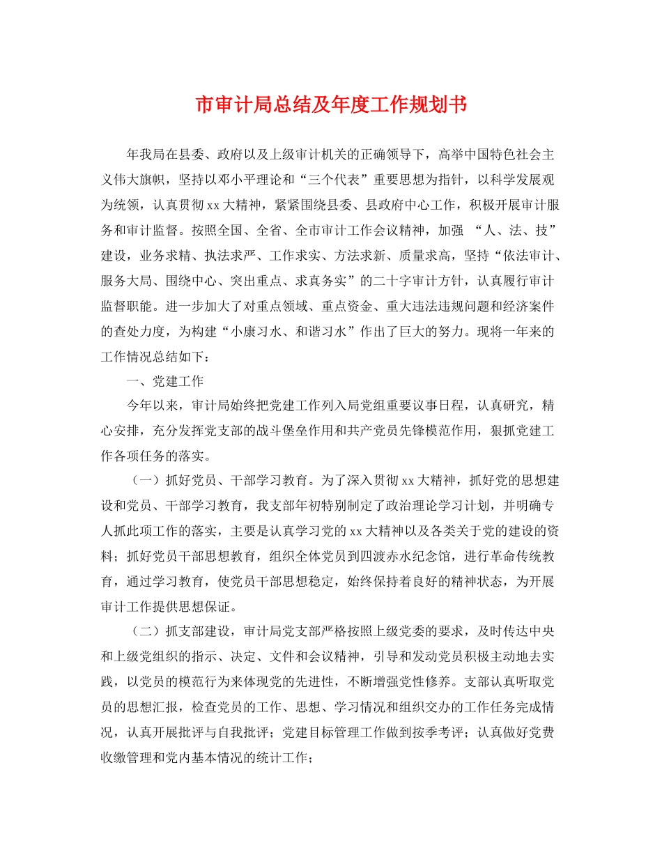 市审计局总结及年度工作规划书 _第1页