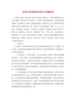 市审计局总结及年度工作规划书 