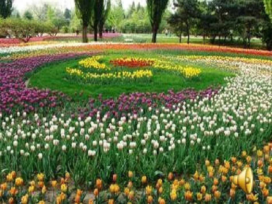 《花的勇气》课件_第3页
