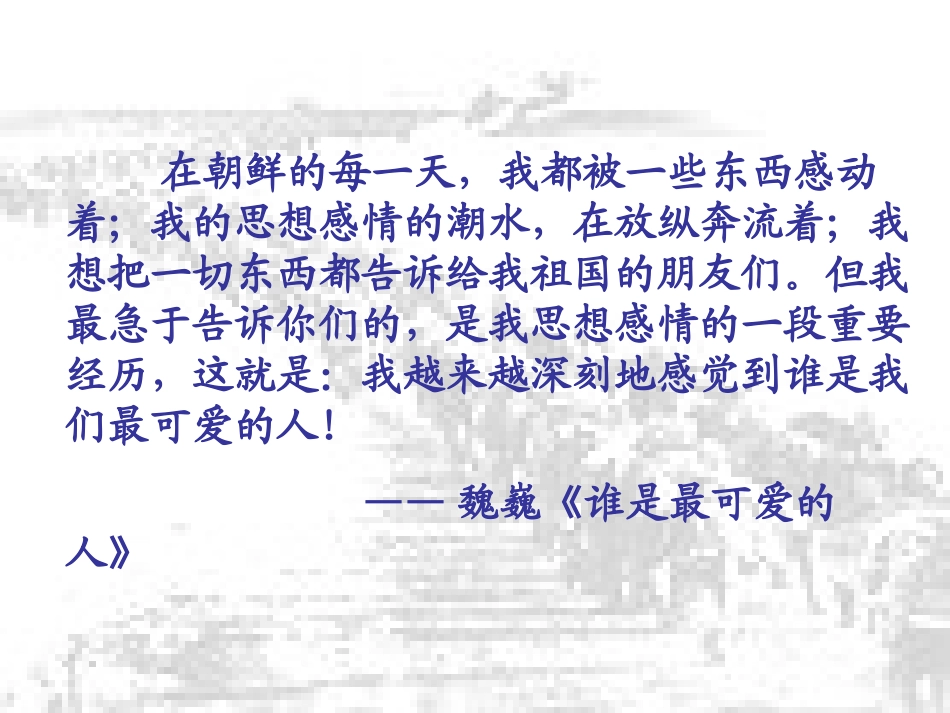 第14课《再见了_亲人》课件1_第2页