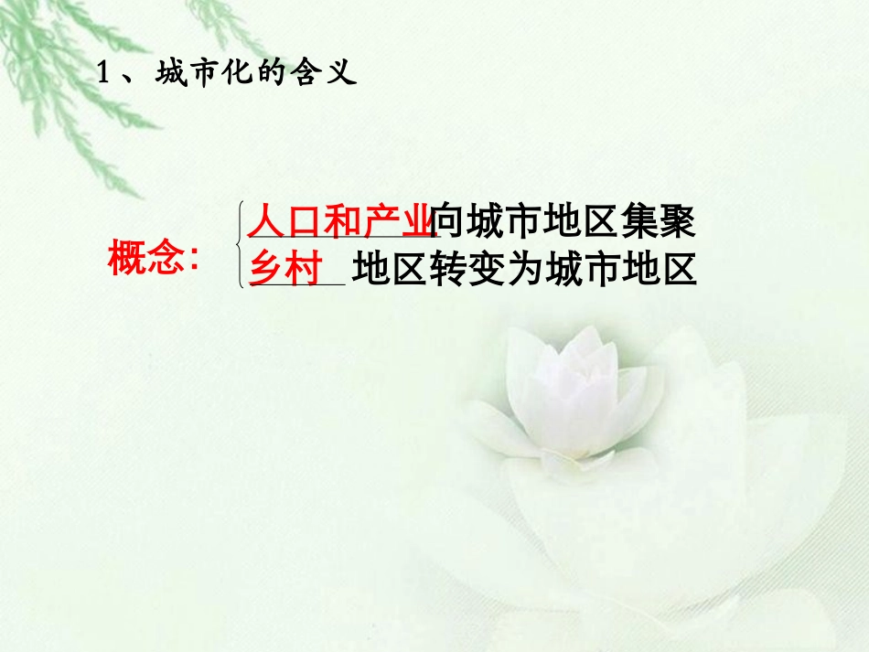 城市化过程与特点_第2页