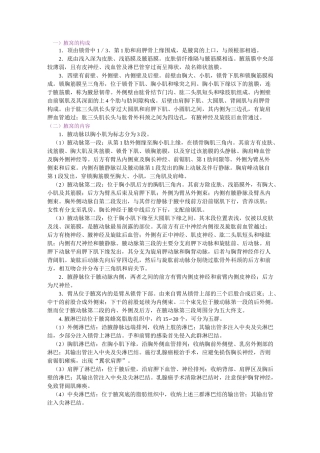 局部解剖学上肢