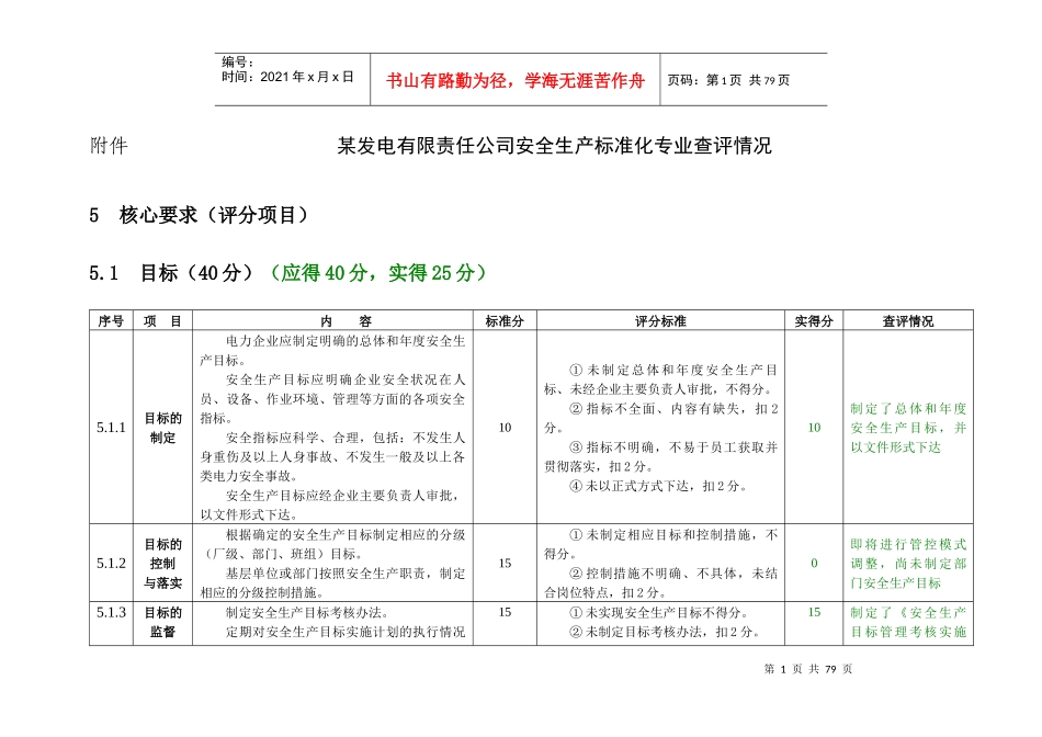 某发电有限责任公司安全生产标准化专业查评情况(表)_第1页