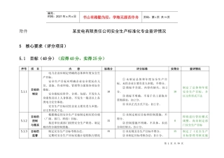 某发电有限责任公司安全生产标准化专业查评情况(表)