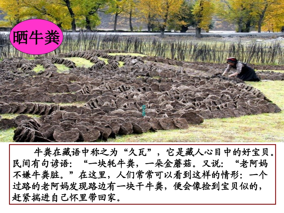 海拔最高的牧区 (2)_第2页