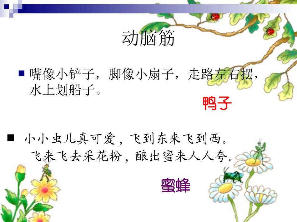 _小白兔和小灰兔公开课课件(配完全同步教案)_第1页