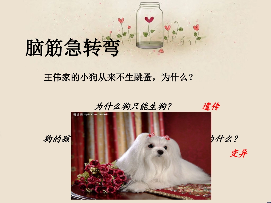 基因控制生物性状_第3页