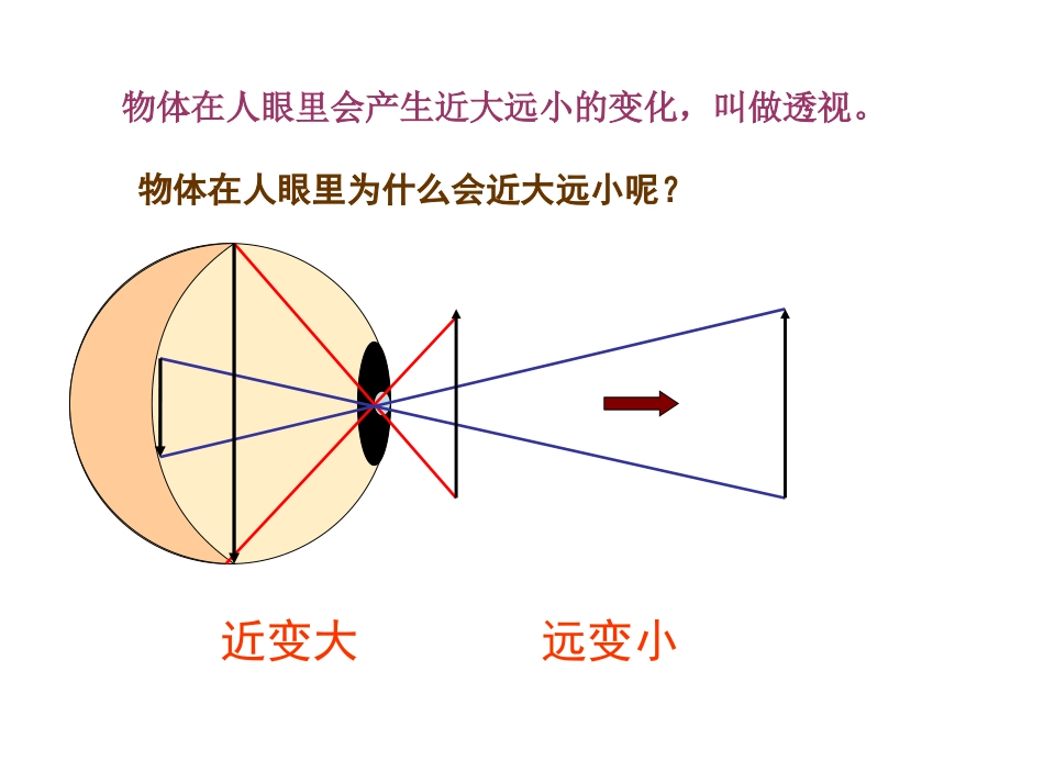 绘画的骨架课件_第3页