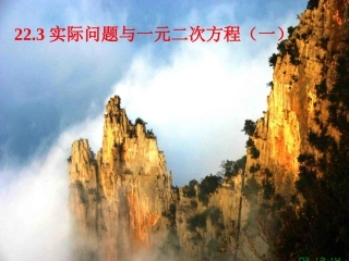 实际问题与一元二次方程(一)