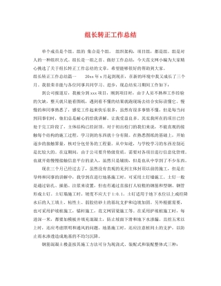 组长转正工作总结 