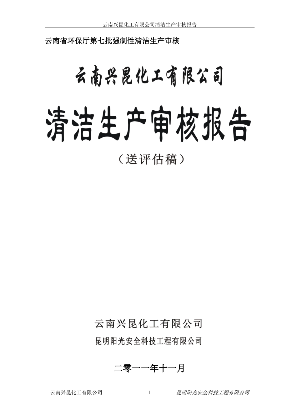 化工公司清洁生产审核报告_第1页
