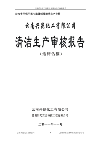 化工公司清洁生产审核报告