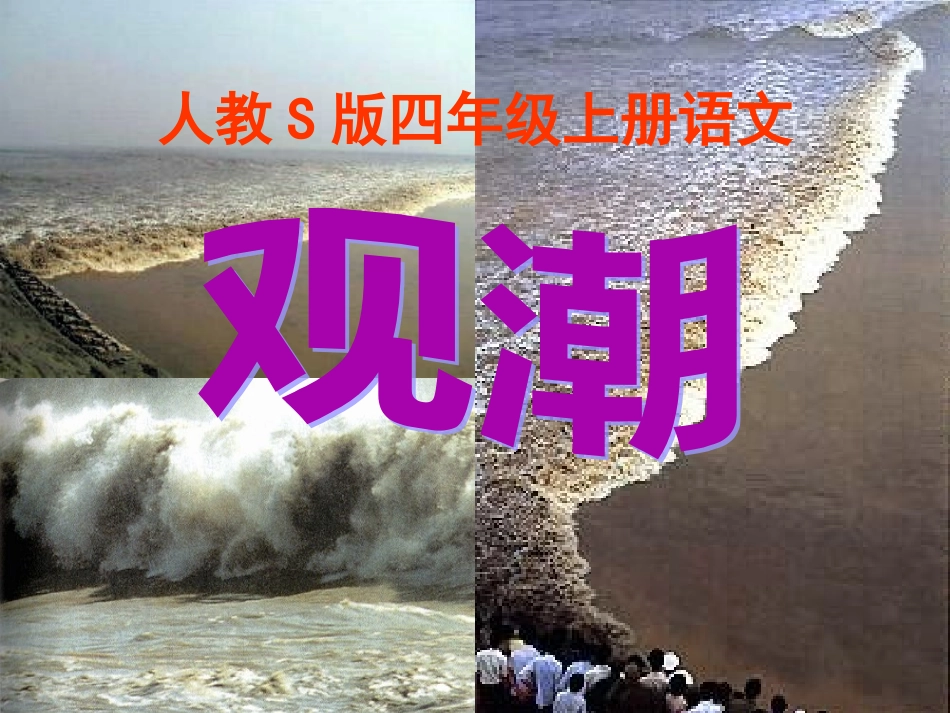 小学语文S版四年级上册《观潮》课件_第1页