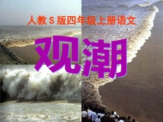 小学语文S版四年级上册《观潮》课件