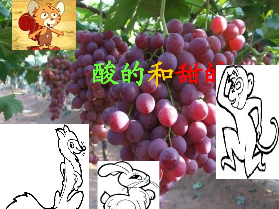 《酸的和甜的》课件【14页】_第2页
