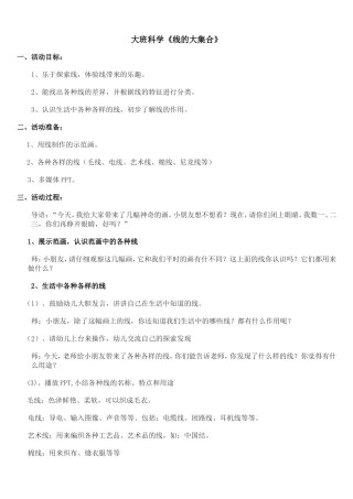 大班科学：《线的大集合》