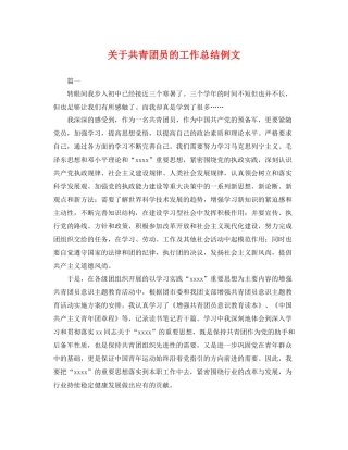 关于共青团员的工作总结例文 
