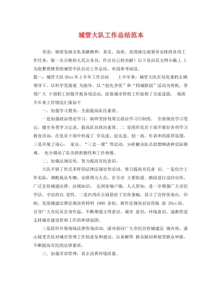 城管大队工作总结范本 