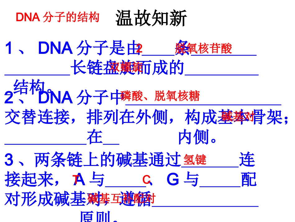 第三章第三节DNA的复制_第2页