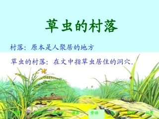 草虫的村落课件