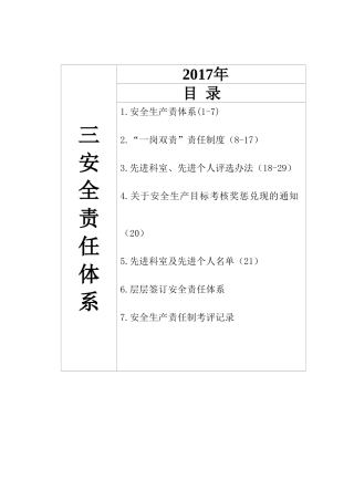 3、安全责任体系(DOC45页)