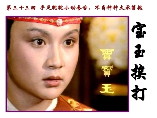 宝玉挨打课件