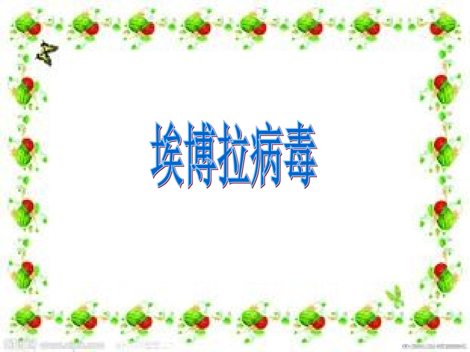 埃博拉病毒课件_第1页