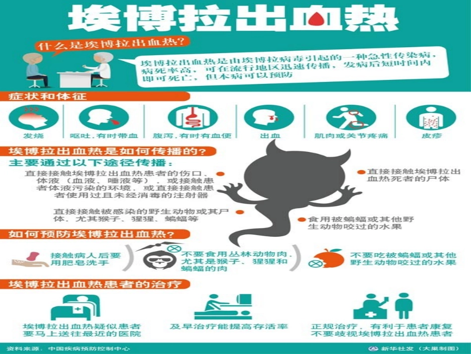 埃博拉病毒课件_第2页