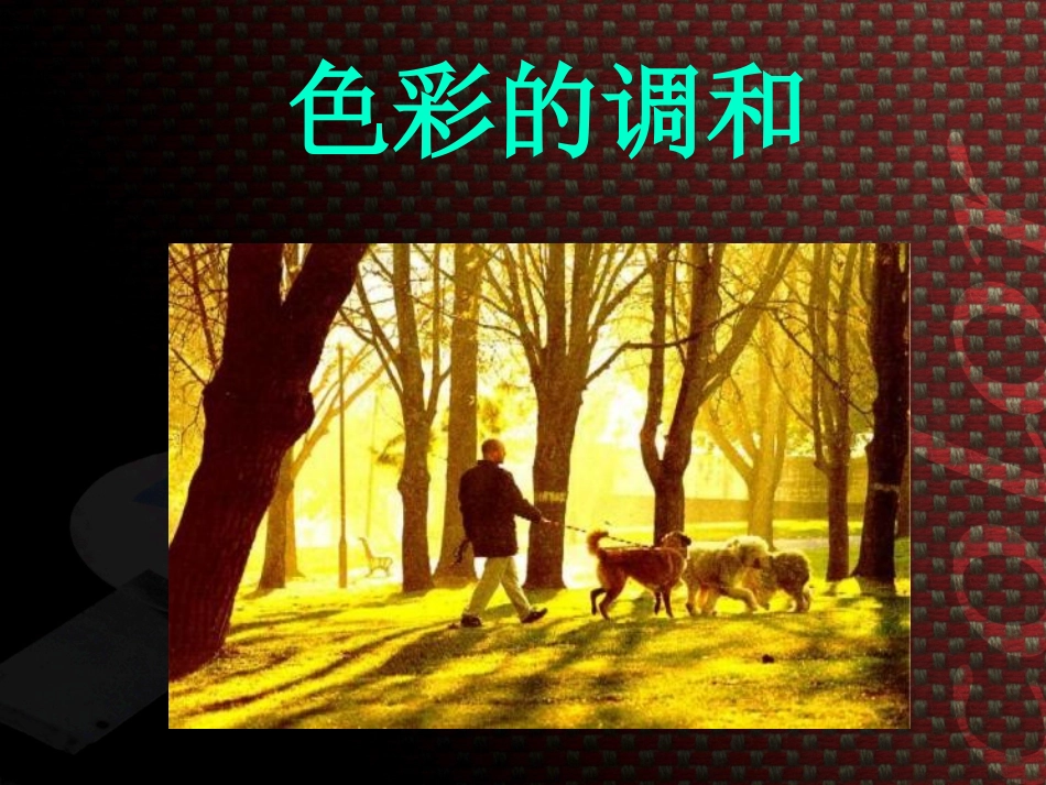 色彩的调和课件_第1页