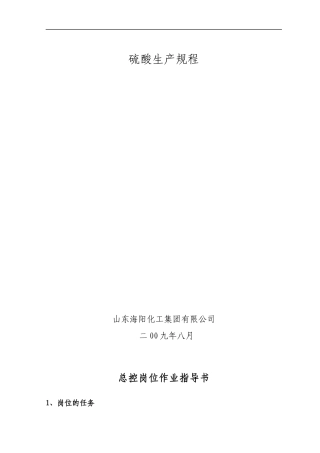 某化工集团有限公司硫酸生产规程