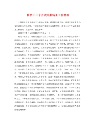 新员工三个月试用期转正工作总结 