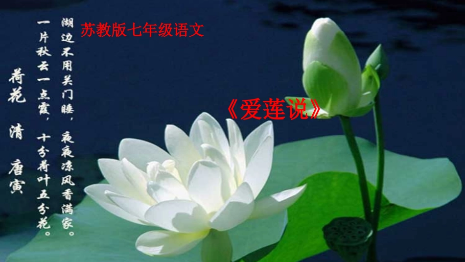 爱莲说演示文稿2_第1页