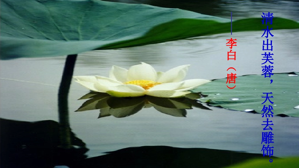 爱莲说演示文稿2_第2页