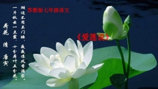 爱莲说演示文稿2