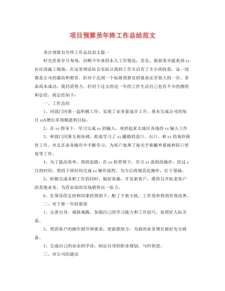 项目预算员年终工作总结范文 