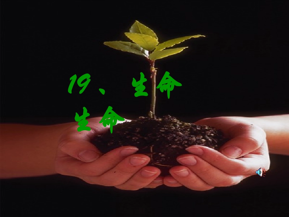 《生命，生命》课件【17页】_第2页