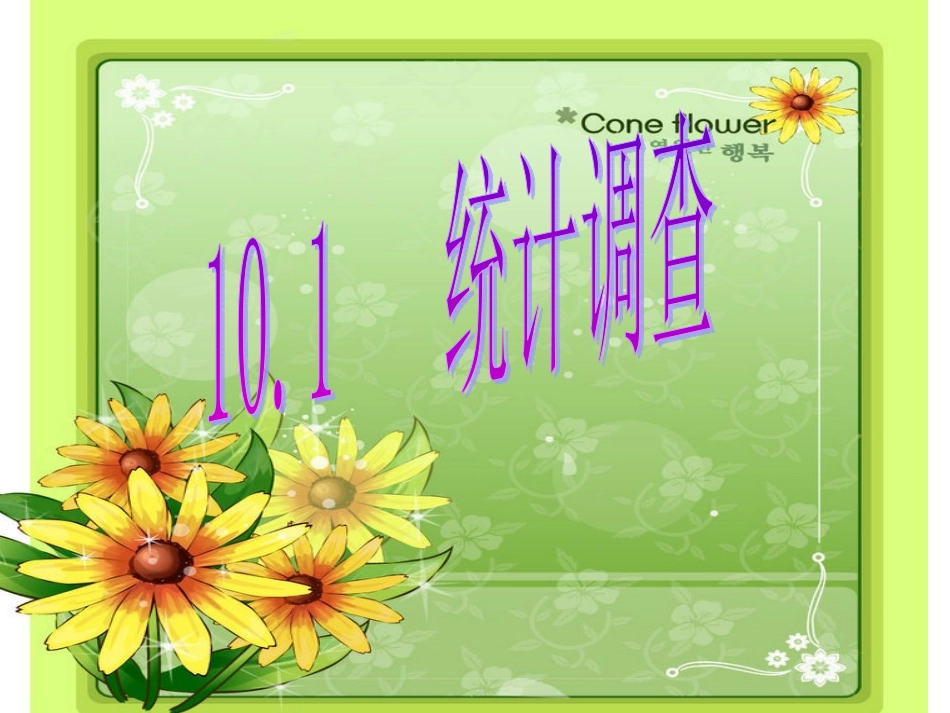 统计调查（）_第1页