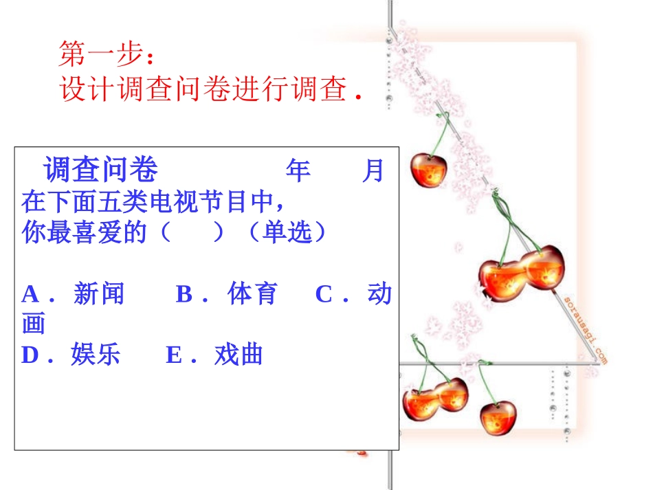 统计调查（）_第3页