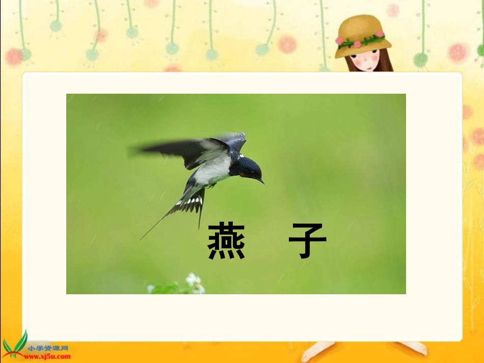 《燕子》课件 ()_第1页