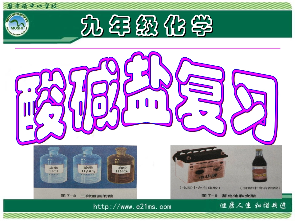 酸碱盐复习课件_第1页