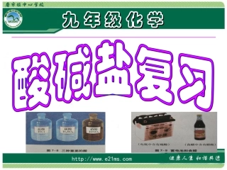 酸碱盐复习课件
