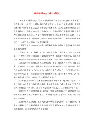 最新律师协会工作计划范文 